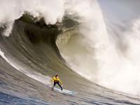 IM电竞官网入口-跨界接管，当杰伦·格林踩下F1油门，篮网带走了费城的春天