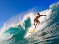 IM电竞游戏-浙江队惊天翻盘鹈鹕，王哲林惊艳四座书写历史