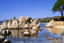 IM电竞下载-包含意甲劲旅亚特兰大客场轻取对手，全取三分的词条