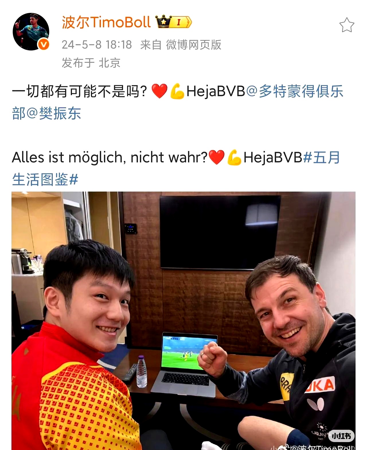 关于英国乒乓球队翻盘比利时乒乓球队,波尔高光表现的信息 关于英国乒乓球队翻盘比利时乒乓球队,波尔高光表现的信息