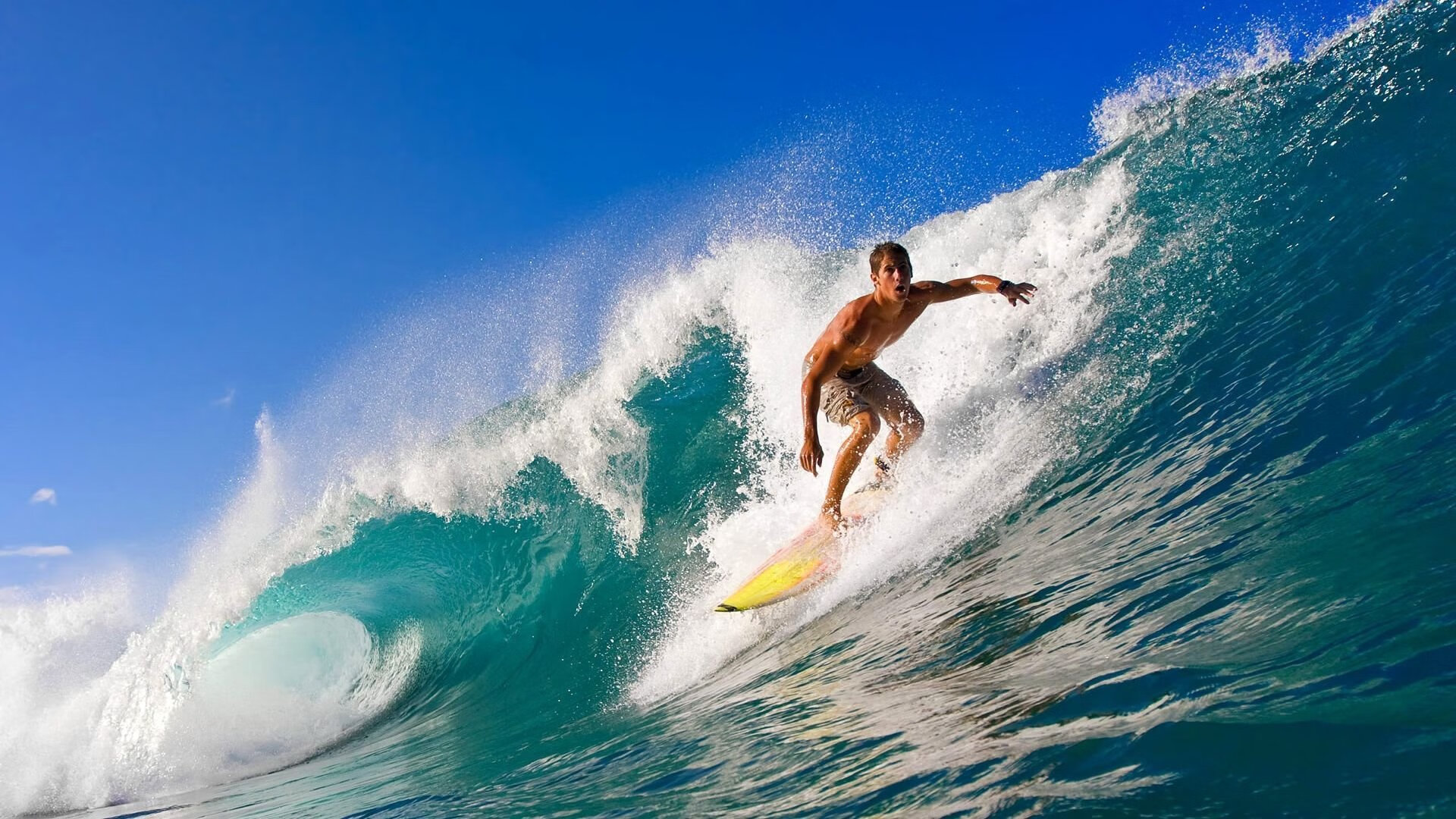从篮网单节狂潮到塔图姆时代,篮球世界的传承与预言